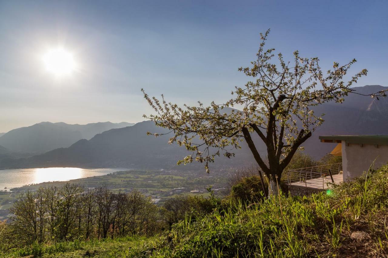 Agriturismo Alveare Sul Lago ปิโซเญ ภายนอก รูปภาพ
