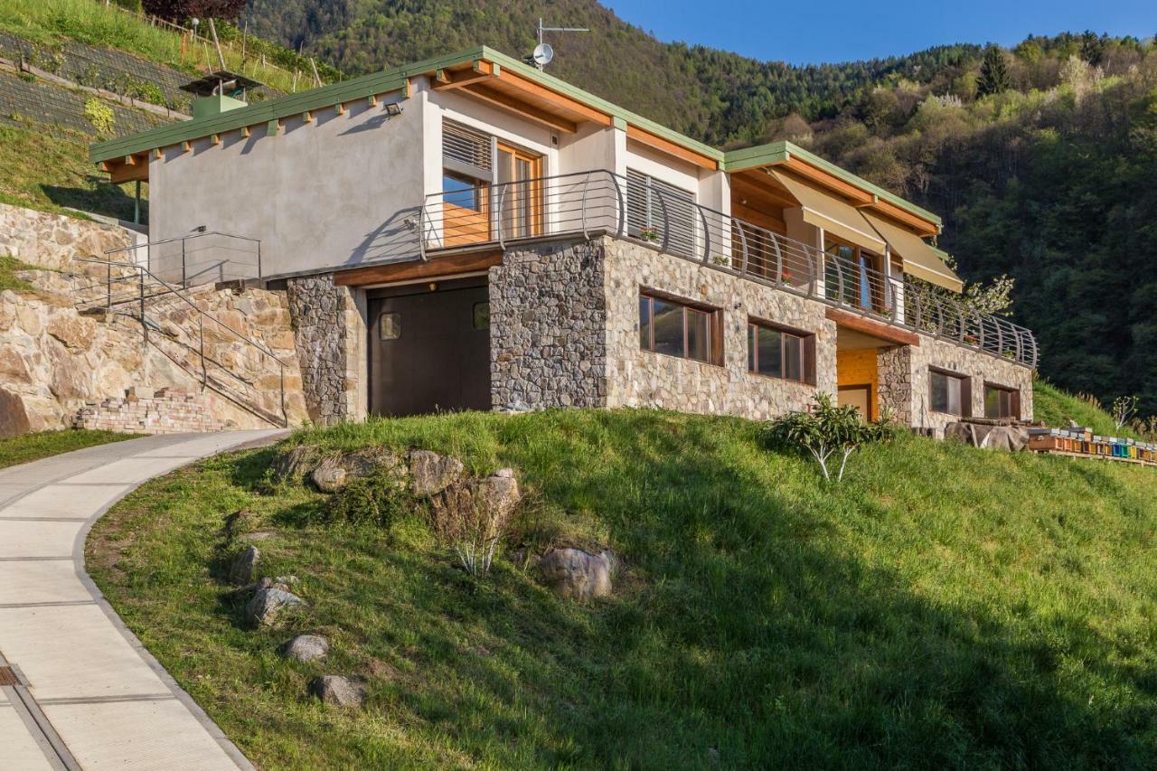 Agriturismo Alveare Sul Lago ปิโซเญ ภายนอก รูปภาพ