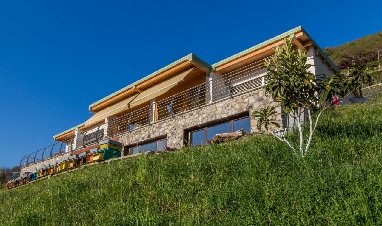Agriturismo Alveare Sul Lago ปิโซเญ ภายนอก รูปภาพ